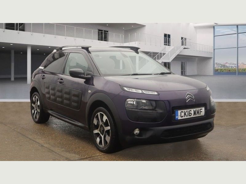 C4 Cactus C4 Cactus