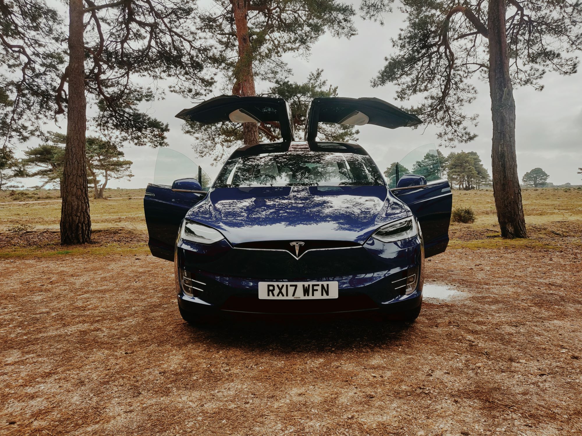 modelx
